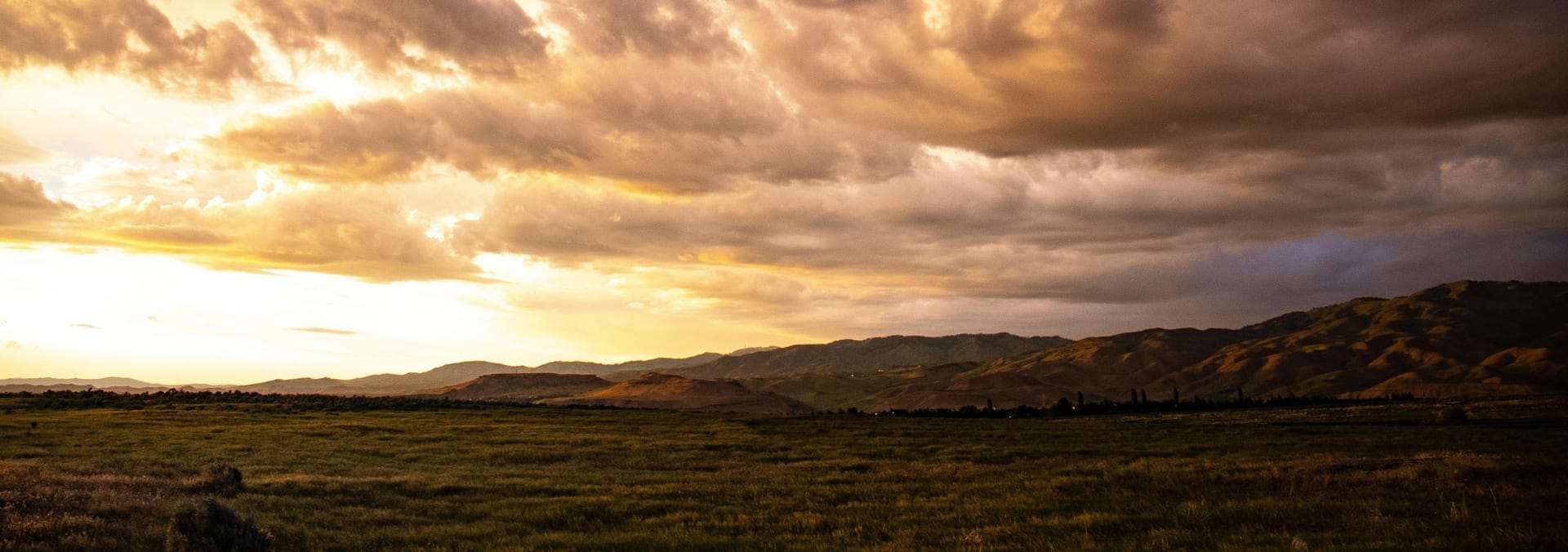 Golden prairie under a heavy evening sky