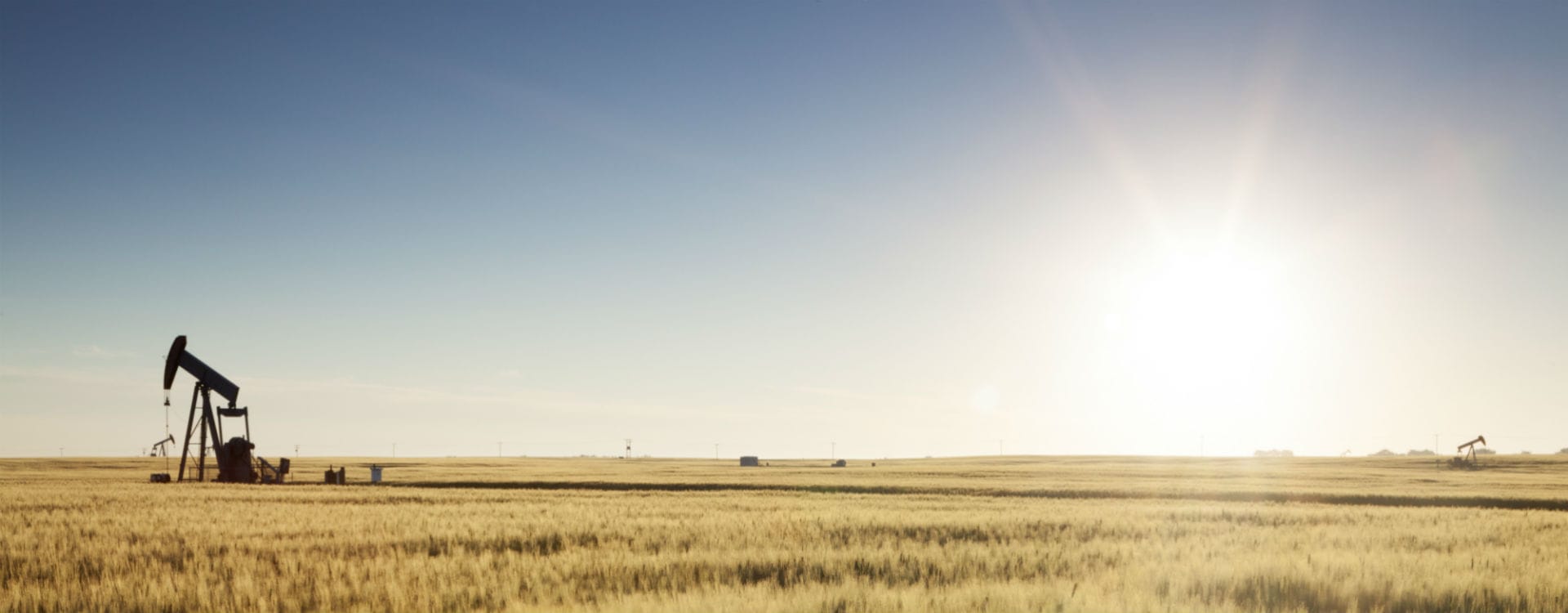 A golden field of ripe grain stretching to the horizon under a wide Alberta sky