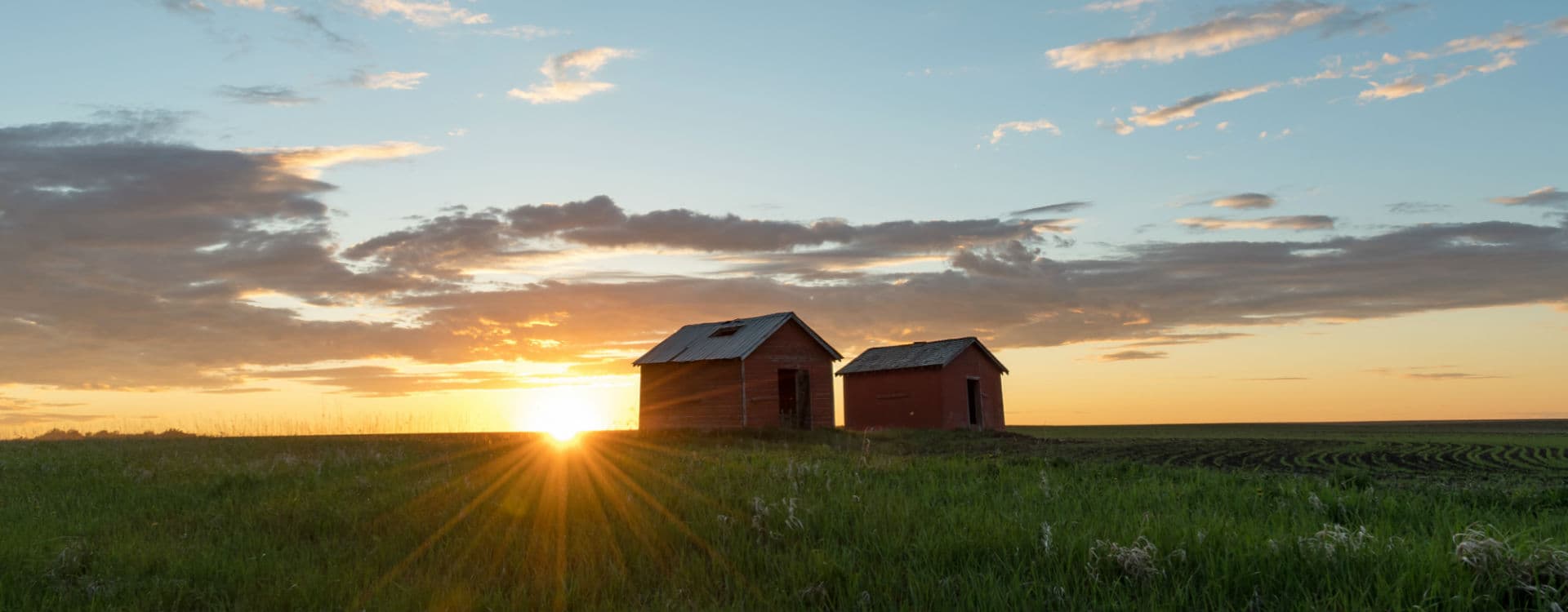 Two red wooden granaries on the Alberta prairie at sunset, the sun setting low over a green field