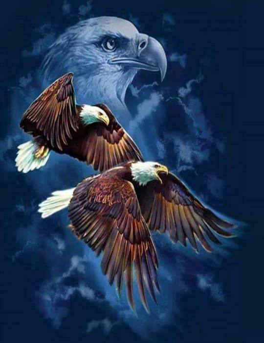 Henri Little Eagle Olson